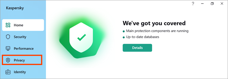 Navigating to the “Privacy” section in the Kaspersky for Windows main window,