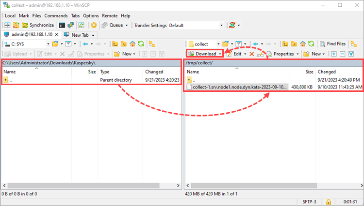 Downloading the diagnostic file via WinSCP.