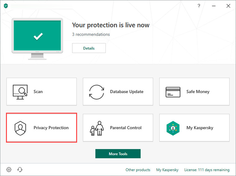 Opening the Privacy Protection section in Kaspersky Internet Security 19