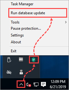 Updating the Kaspersky Anti-Virus 20 databases from the taskbar