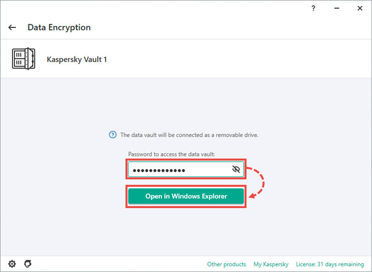 Password field in the Data encryption window.