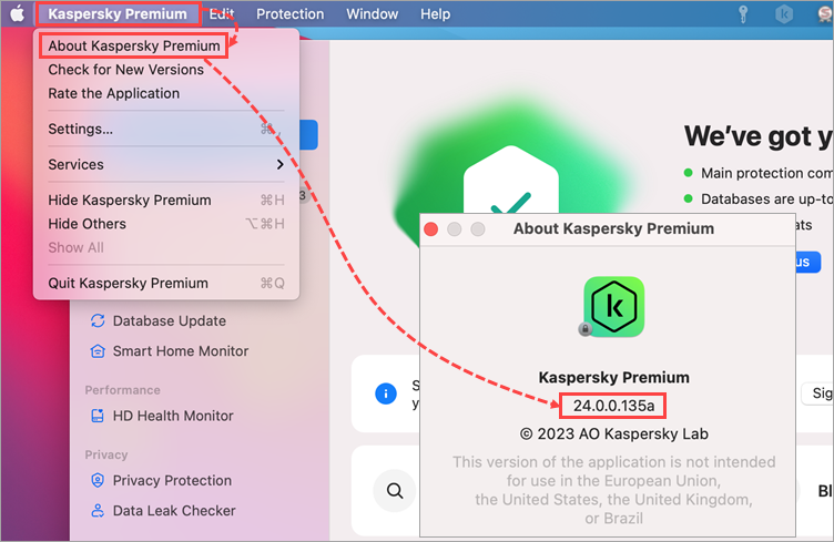 The application version number of a Kaspersky application in macOS.