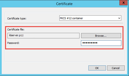 PKCS#12 container selected as the certificate type