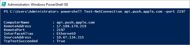 Execution of the powershell command.