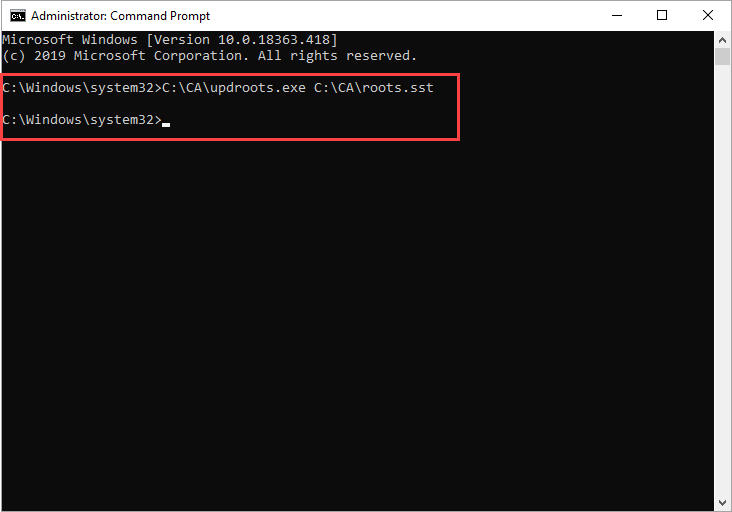 Running the command in the command prompt