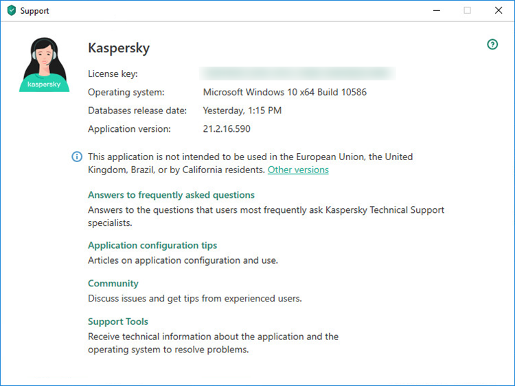 The support window in a Kaspersky application