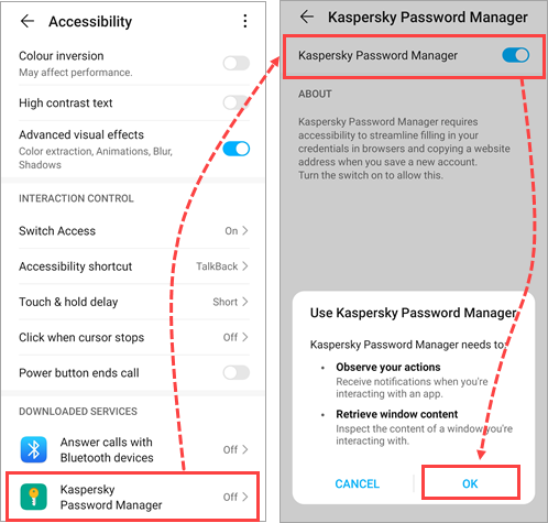 Accessibility settings for Kaspersky Password Manager