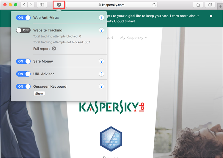 Features of the Kaspersky Security 19 browser extension