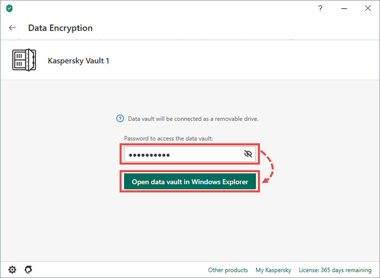 Password field in Kaspersky Total Security 20