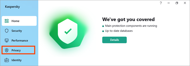 Navigating to the “Privacy” section in the main application window of Kaspersky Standard / Plus / Premium