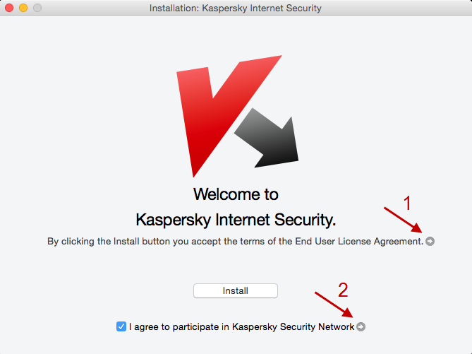 Read the terms of the License Agreement and Kaspersky Security Network statement.