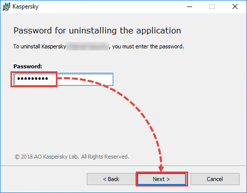 Entering the password to remove a Kaspersky application