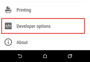 Image: Developer options in the Settings menu