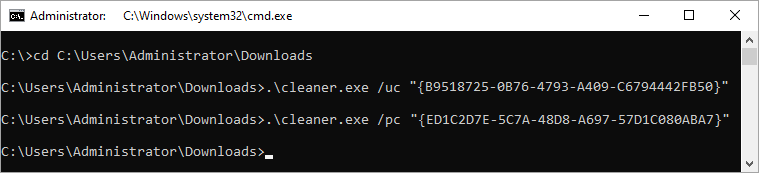 Running the cleaner.exe utility.