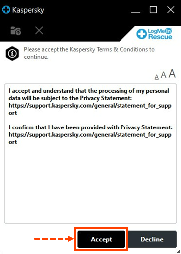 Accepting the Kaspersky Terms and Conditions in the rescue applet.