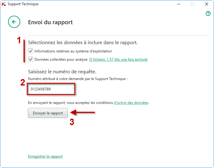 Image : sélectionnez les rapports nécessaires, saisissez le numéro de requête et envoyez le rapport