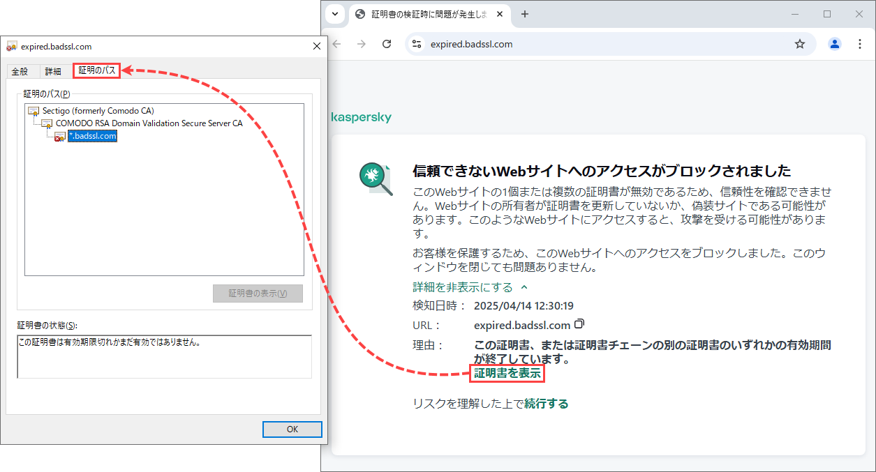 カスペルスキー製品によって Web サイトが完全にまたは部分的に