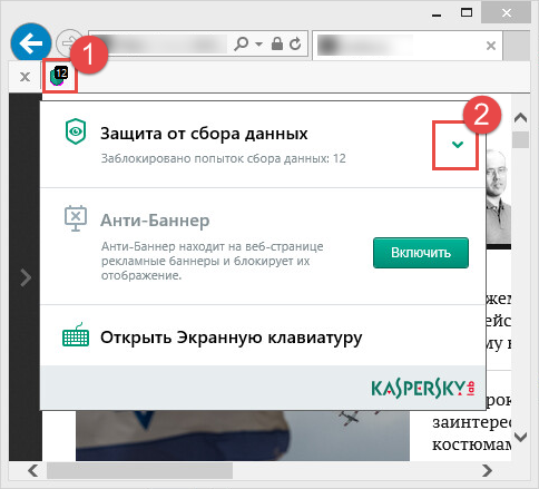 Картинка: расширение Kaspersky Protection в окне браузера Internet Explorer.