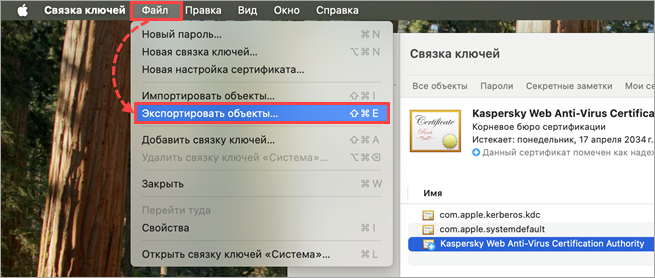 Что делать, если SSL-трафик в Mozilla Firefox не контролируется