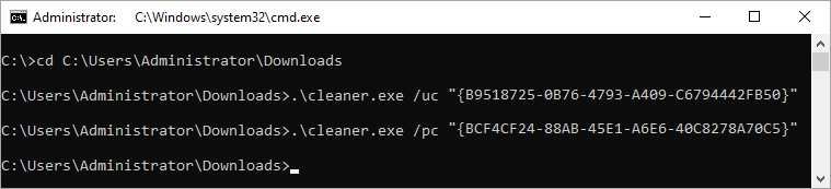 Cleaner.exe yardımcı programını çalıştırma.