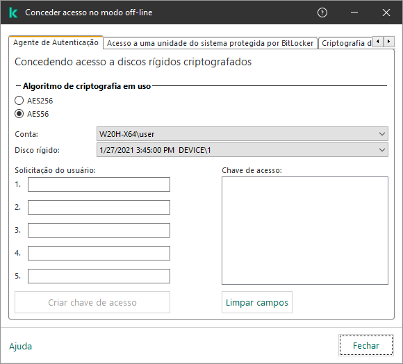 Uma janela com campos para inserir o conteúdo da solicitação do usuário e um campo para a chave gerada para acessar o disco criptografado.