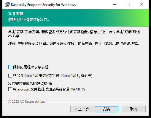 安装设置窗口：安装保护、与 Citrix PVS 的兼容性、avp.com 的系统变量。