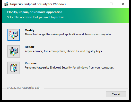 Installer window with a list of available operations: changing the set of components, repairing the application, removing the application.