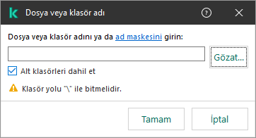 Bir dosya veya klasörün yolunu girmek için alan içeren bir pencere. Maskeler kullanılabilir. Kullanıcı, dosya yöneticisini kullanarak bir dosya seçebilir.