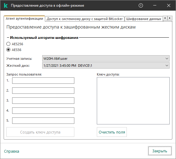 Окно с полями для ввода содержания запроса и полем для сгенерированного ключа доступа к зашифрованному диску.