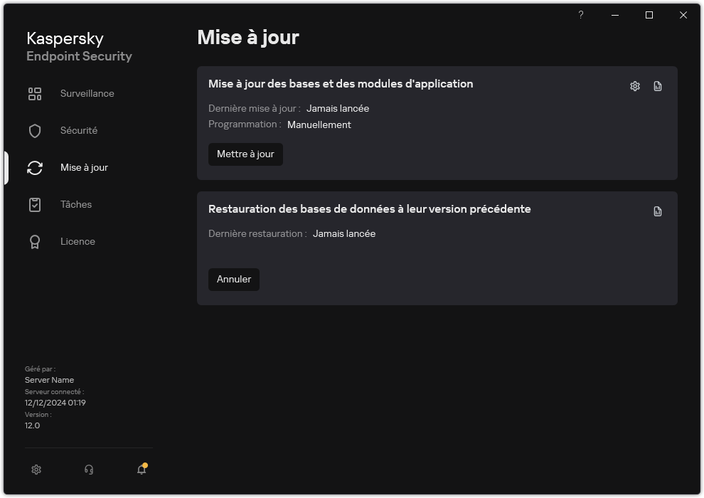 Une fenêtre avec la liste des tâches de mise à jour locales. L'utilisateur peut lancer la mise à jour des bases de données et des modules d'application, ainsi qu'annuler la dernière mise à jour.