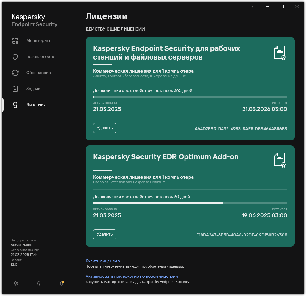 Окно с действующими лицензиями.
