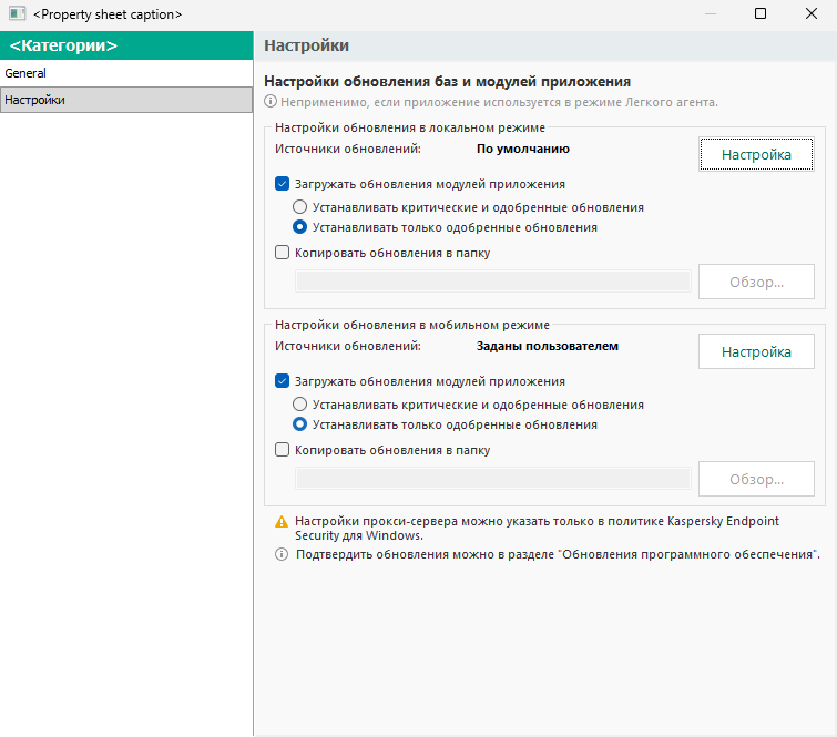 Окно параметров задачи Обновление. Пользователь может настроить обновление в локальном и мобильном режимах.