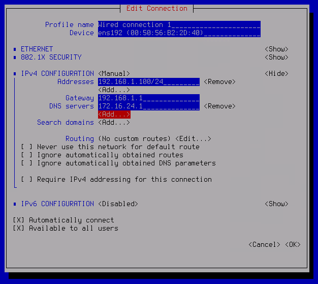 Der Screenshot zeigt ein Beispiel für die Eingabe der Adresse des DNS-Servers.