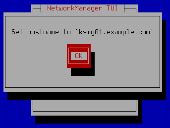 The screenshot shows the confirmation window for the virtual machine domain name.
