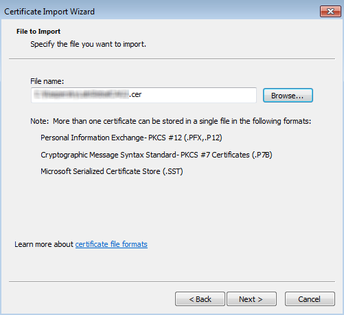 Certificate Import Wizard. CER file specified.